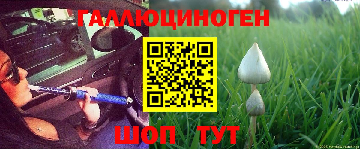 Псилоцибиновые грибы Magic Shrooms Строитель