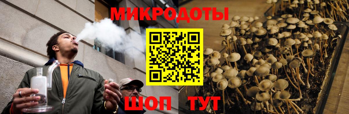 что такое   Вход с VPN  Строитель  Галлюциногенные грибы Magic Shrooms 
